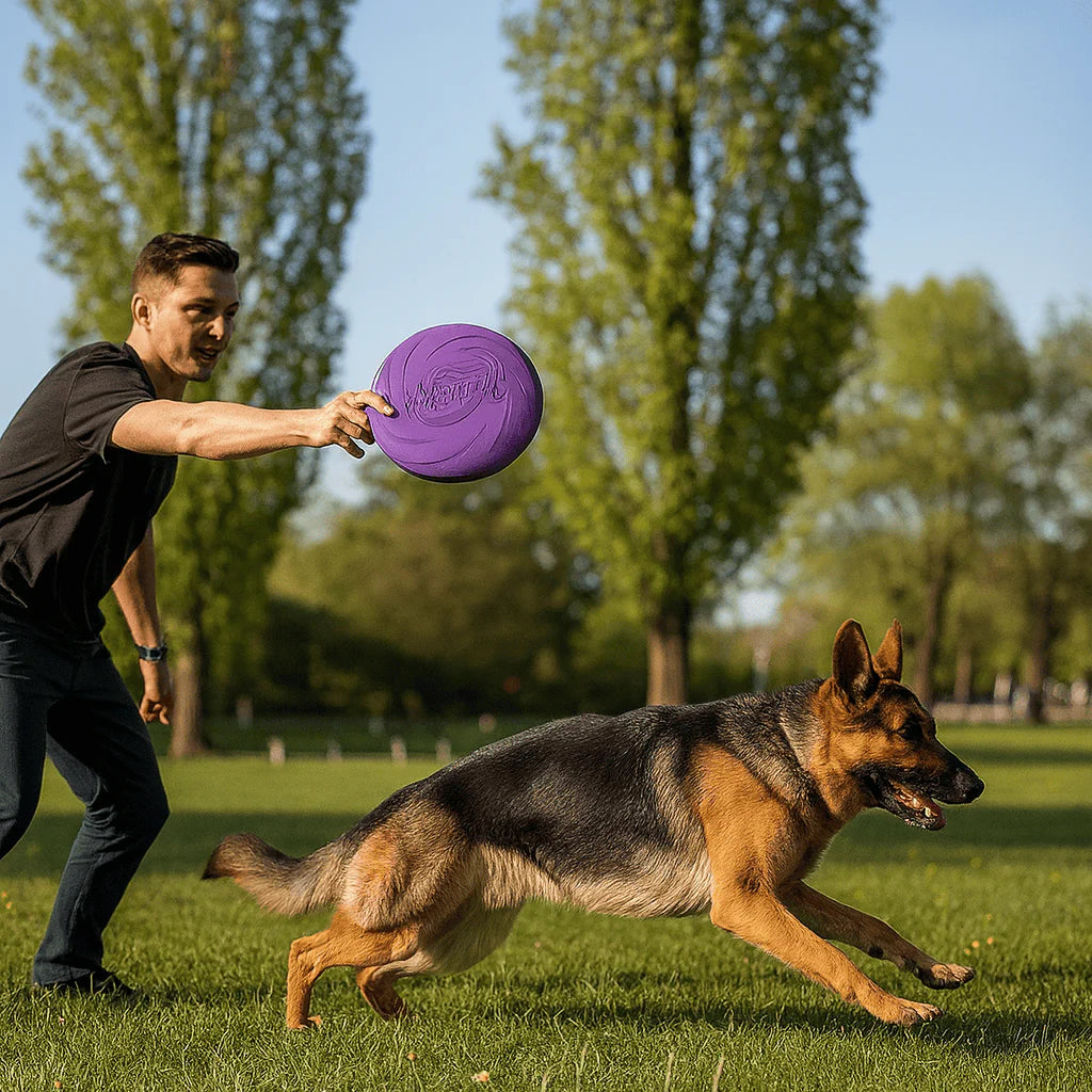 frisbee
