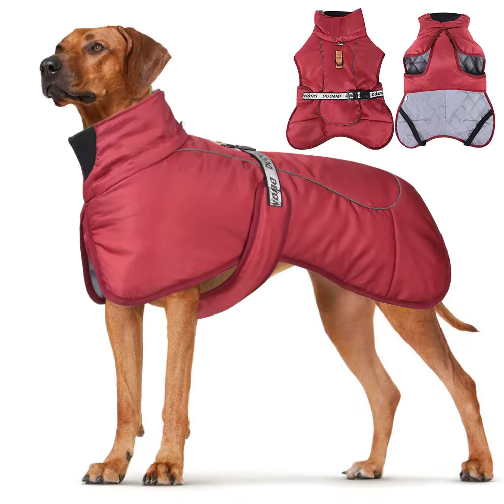 Waterproof Insulated Dog Coat – Warm Winter Jacket with Adjustable Fit
